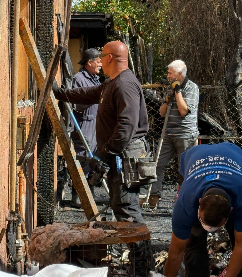 Restore and Build (4)